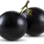 Jabuticaba
