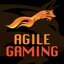 Agile Gaming