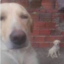 DiamancoSs (was deleted at: 2024-01-12T01:37:22.4156543Z)