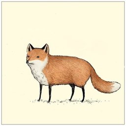 FoXych