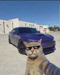 M kzin.xit!7