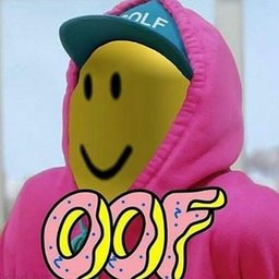 TrueRobloxPlayer