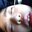 yemsyem