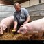 Barnie and friends