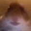 deat7h