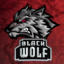 Black wolf ES (was deleted at: 2025-09-11T00:42:54.8775517Z)
