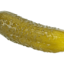 PickleSQUAD