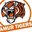 Amur_Tigers