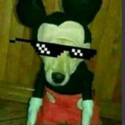 Aleatório_??
