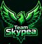 Team Skypea