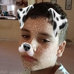 BERNARDOKTXF
