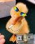 Patos da Favela
