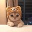 ImJustAcat (was deleted at: 2021-02-27T18:10:54.7507374Z)