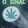 O SINAL