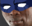 SN2K