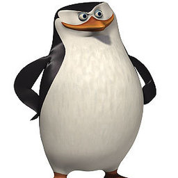 skipper123