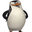 skipper123