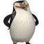 skipper123
