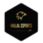 Hallal Esports