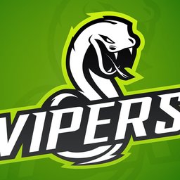 VIPER ESPORTS - Profile | Challengermode