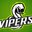 VIPER ESPORTS