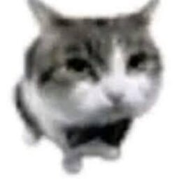 MuryIntez