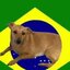 Brazilguys