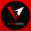 V1CTORY Esports