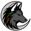 Northern Spirit Esports Green