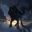 XZ_shadow_wolf#2915
