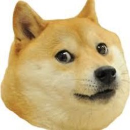 Fertua