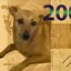 wilbercoca12345