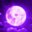 Five Moons