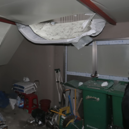 Juventusbasadreas1361