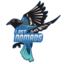Last Nomads (was deleted at: 2022-01-20T00:47:50.0204613Z)