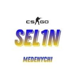 S3L1N