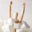 Sugar Guyz
