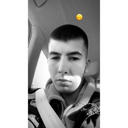 blvv