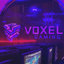 Voxel