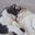 tico & teco