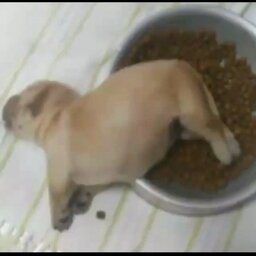 Capotei o Corsa#5160