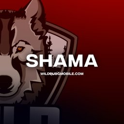 Shama77