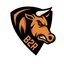 B2R ESPORT
