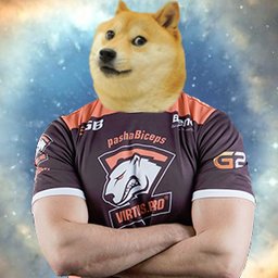 DogE_