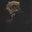 Sowl-