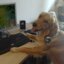 20%wr (was deleted at: 2022-10-28T01:12:20.6011335Z)