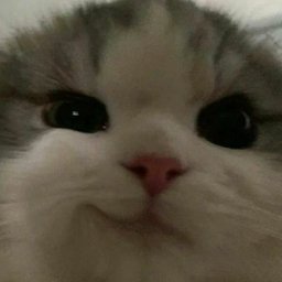 Tayná Martins