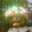 Mushrooms69
