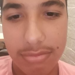 mammalykokotbosomjusko