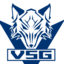 _VSG_